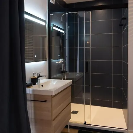 Appartement Gaillard Centre Ville & Parking